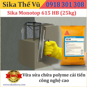 Sika Monotop 615 HB